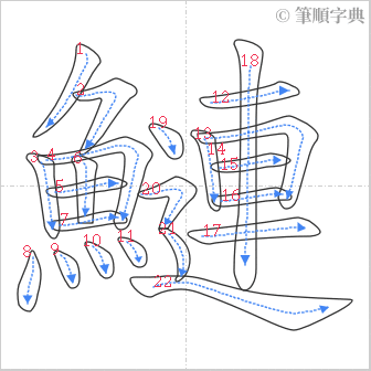 “「鰱」的筆順”