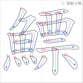 “「鰾」的筆順”