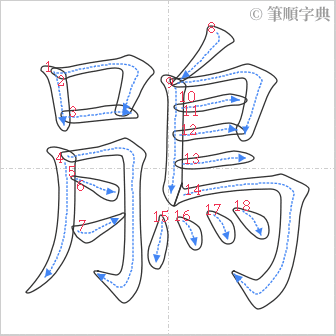 “「鵑」的筆順”