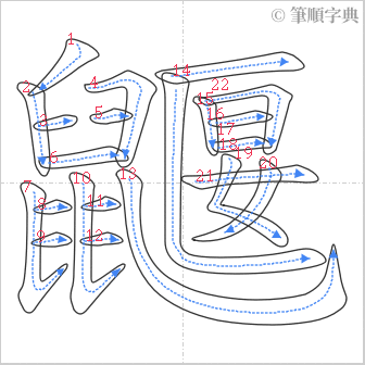 “「鼴」的筆順”